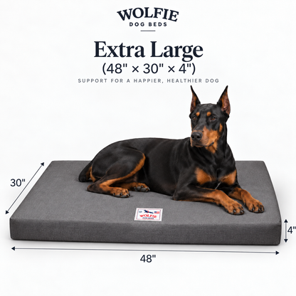 Wolfie Chew Resistant Orthopedic Dog Bed – Dark Grey