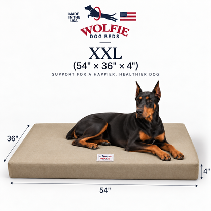 Wolfie Chew Resistant Orthopedic Dog Bed – Beige