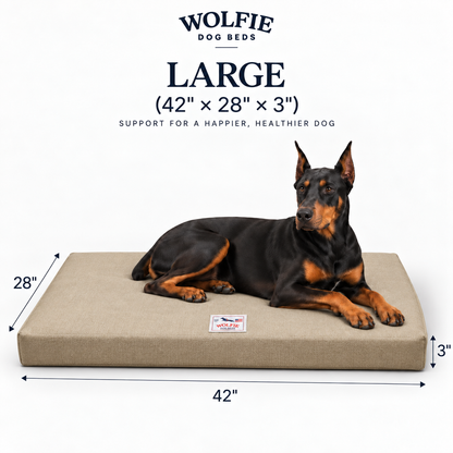 Wolfie Chew Resistant Orthopedic Dog Bed – Beige