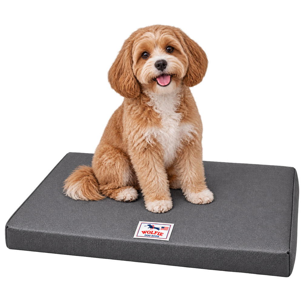 Wolfie Chew Resistant Orthopedic Dog Bed – Dark Grey