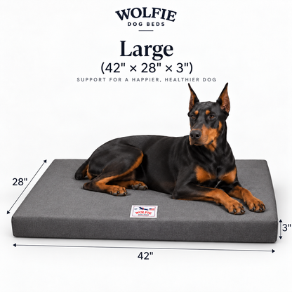 Wolfie Chew Resistant Orthopedic Dog Bed – Dark Grey