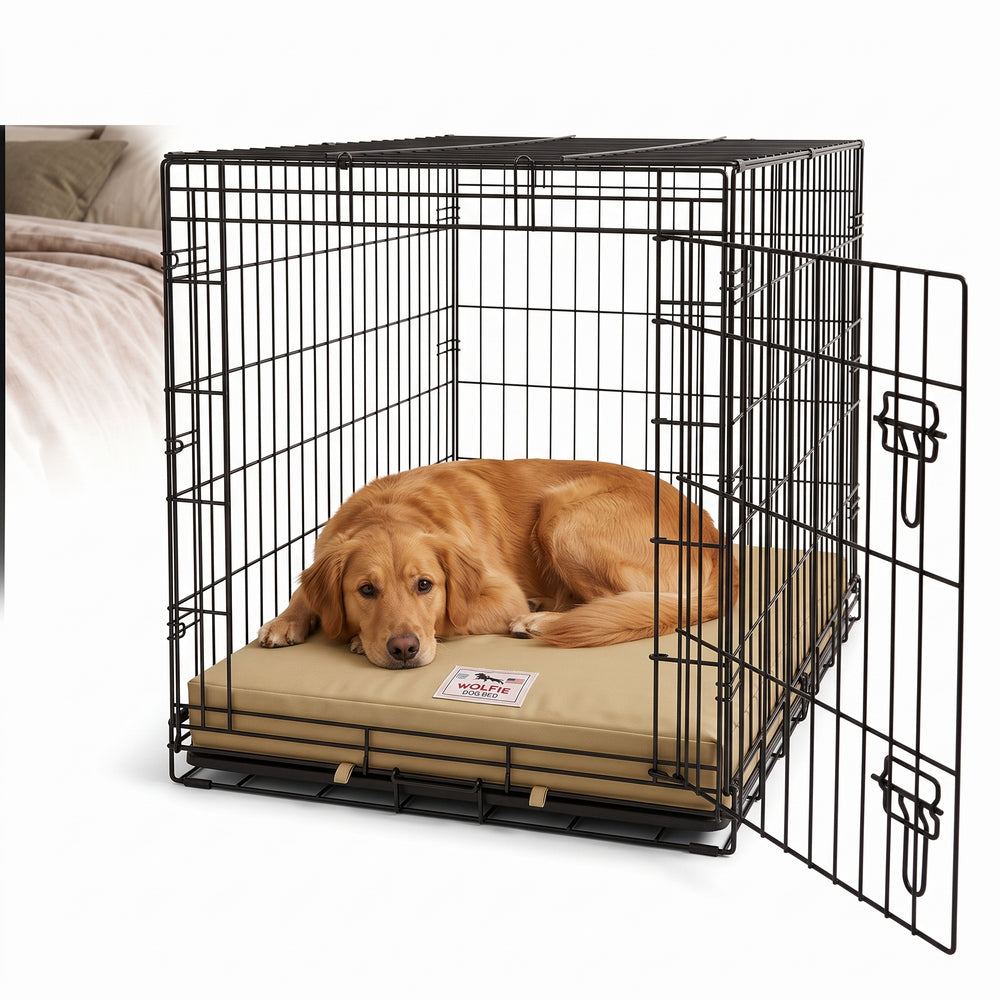 Wolfie Crate Orthopedic Dog Bed – Beige