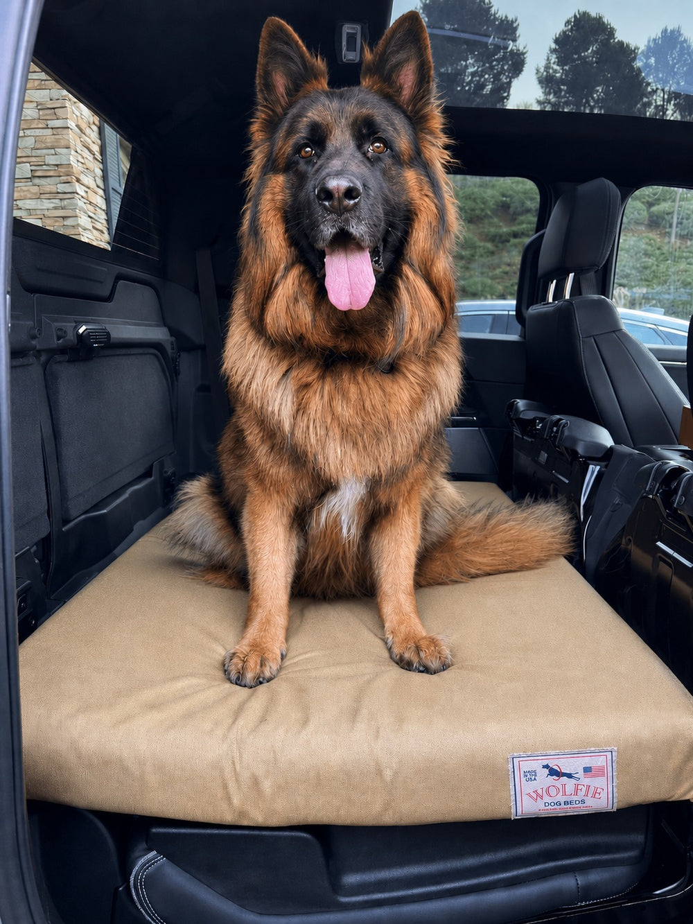 Luca