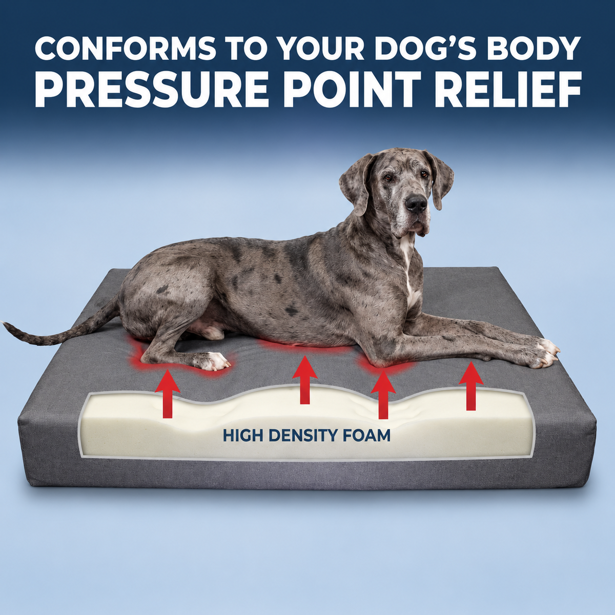 Wolfie Chew Resistant Orthopedic Dog Bed – Dark Grey