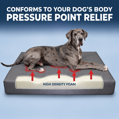 Wolfie Chew Resistant Orthopedic Dog Bed – Dark Grey
