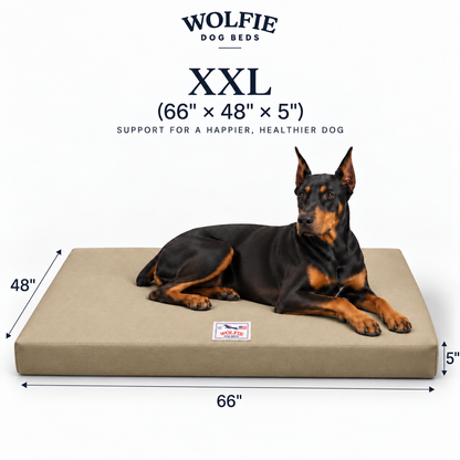 Wolfie Chew Resistant Orthopedic Dog Bed – Beige
