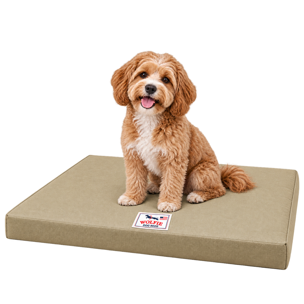 Wolfie Chew Resistant Orthopedic Dog Bed – Beige