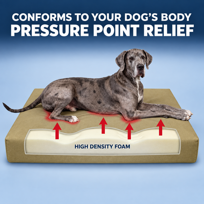 Wolfie Chew Resistant Orthopedic Dog Bed – Beige