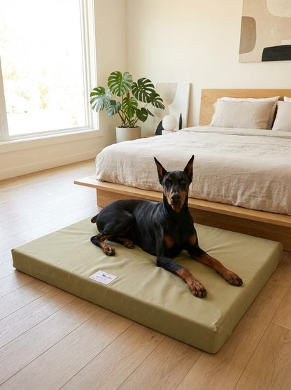 Wolfie Dog Bed - tan colorway with dog in modern room