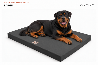 Wolfie Chew Resistant Orthopedic Dog Bed – Dark Grey