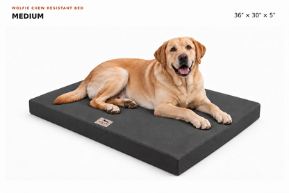 Wolfie Chew Resistant Orthopedic Dog Bed – Dark Grey